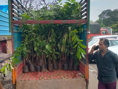 Whatsapp Image 2025 07 09 At 12.15.19 Pm