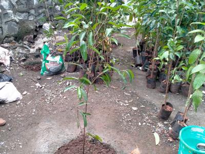 Whatsapp Image 2025 07 09 At 12.15.21 Pm 2