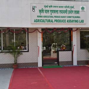 51346395_393227811251341_6710857473395261440_n_original